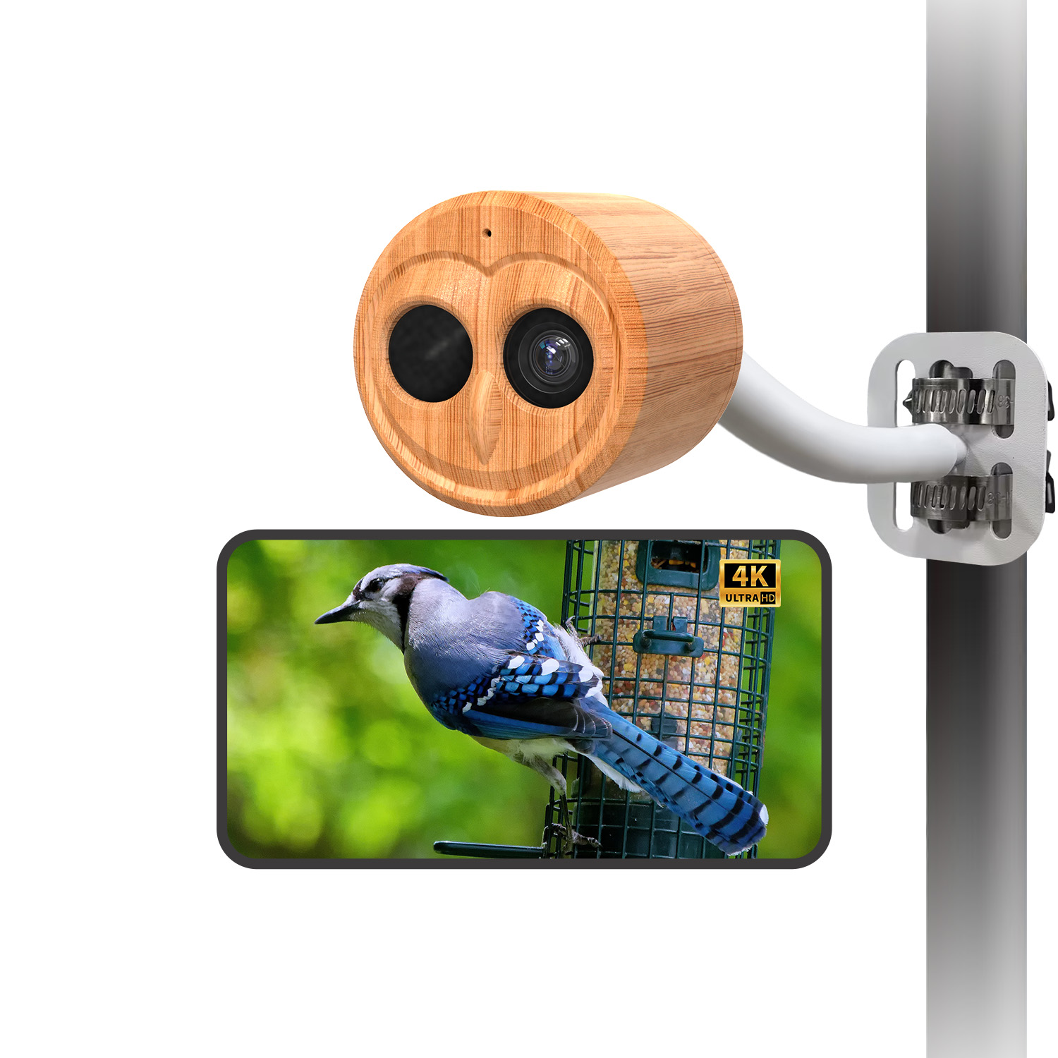 جهاز تغذية الطيور الذكي بدقة 4 - مراجعة Power Outdoor وسعره